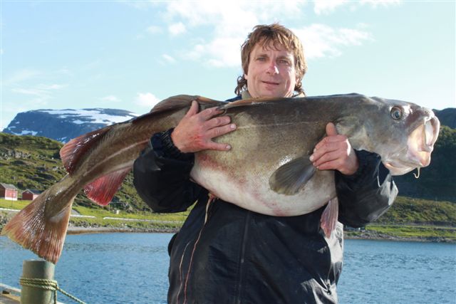 treska obecna 143 cm, 27,5 kg, cerven, Finnmark treska obecna 143 cm, 27,5 kg, cerven, Finnmark