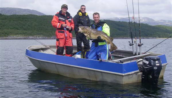 treska obecna 127 cm, Nordland, cervenec