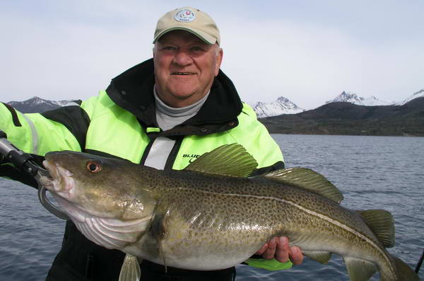 treska obecna z kraje Nordland, kveten treska obecna z kraje Nordland, kveten