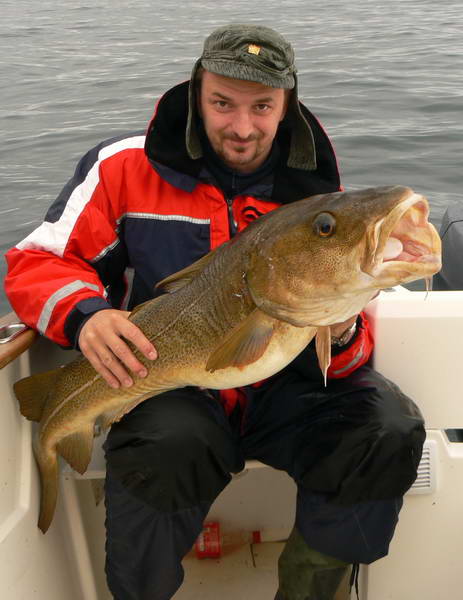 treska obecna 115 cm treska obecna 115 cm