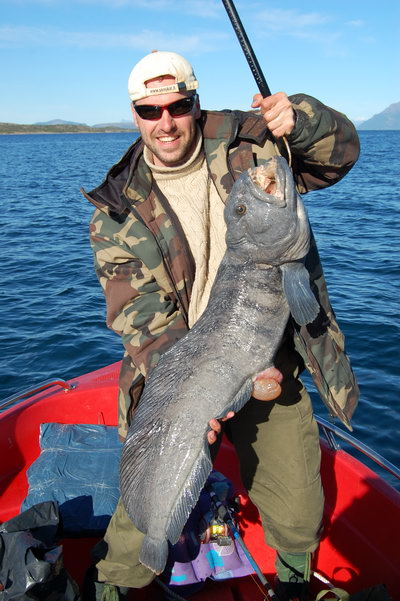 vlkous 104 cm, 10 kg z okoli Steigen vlkous 104 cm, 10 kg z okoli Steigen