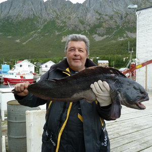 vlkous 95 cm, 9 kg, uloveny na 250 g pilkr vlkous 95 cm, 9 kg, uloveny na 250 g pilkr