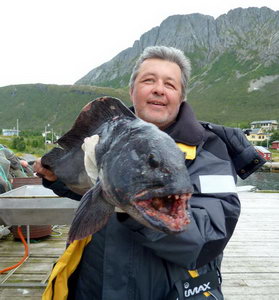 vlkous 95 cm, 9 kg, uloveny na 250 g pilkr vlkous 95 cm, 9 kg, uloveny na 250 g pilkr