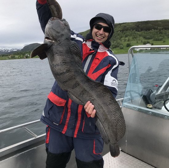 Vlkouš 100 cm z Larseng Vlkouš 100 cm z Larseng