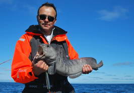 vlkous 70 cm, Finnmark, cerven vlkous 70 cm, Finnmark, cerven