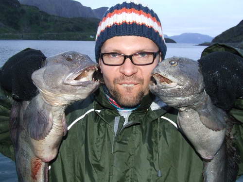 vlkousi z Finnmark, srpen vlkousi z Finnmark, srpen