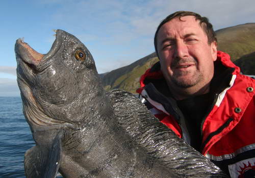 vlkous - Finnmark, zari vlkous - Finnmark, zari