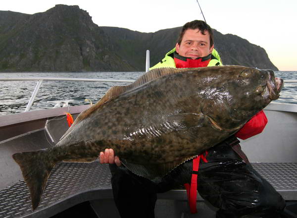 halibut z kraje Finnmark