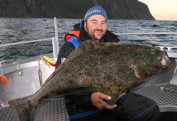 halibut z kraje Finnmark halibut z kraje Finnmark