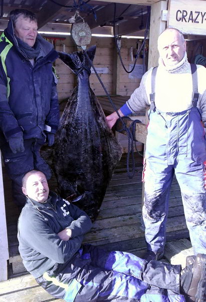 halibut 150 cm - Arnoy halibut 150 cm - Arnoy