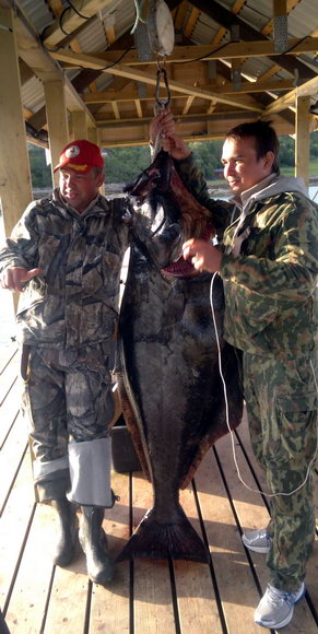 halibut 64 kg, Senja