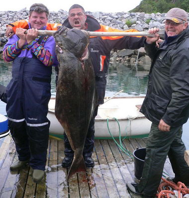 halibut 50 kg, cervenec
