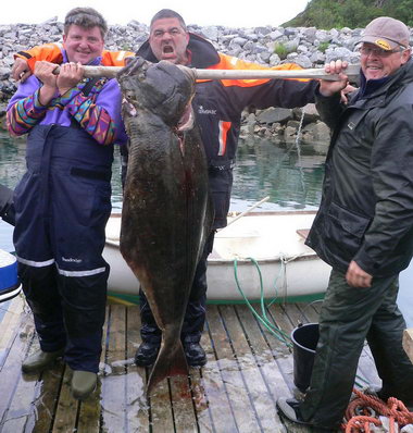 halibut 50 kg, cervenec halibut 50 kg, cervenec