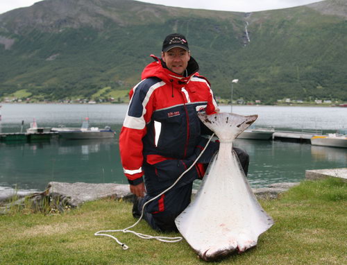 cervencovy halibut - Lyngenfjord