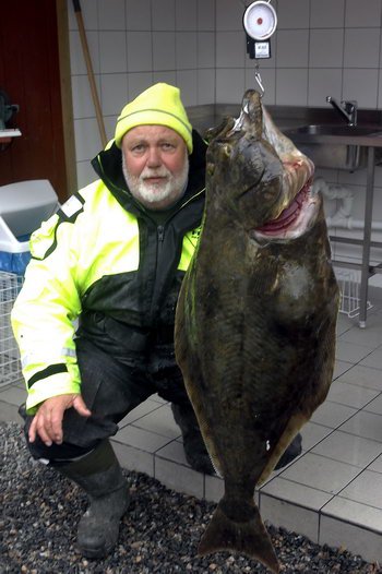 halibut 115 cm, 17 kg