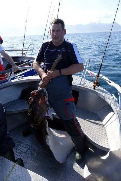 Halibut 185 cm, cervenec Halibut 185 cm, cervenec