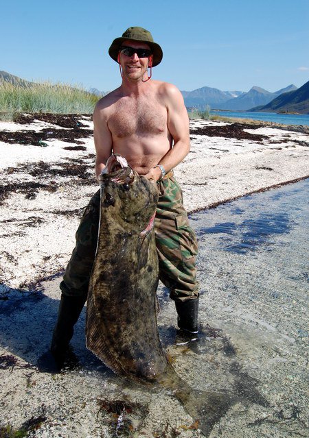 halibut 155 cm, kraj Nordland, 14. cervence halibut 155 cm, kraj Nordland, 14. cervence