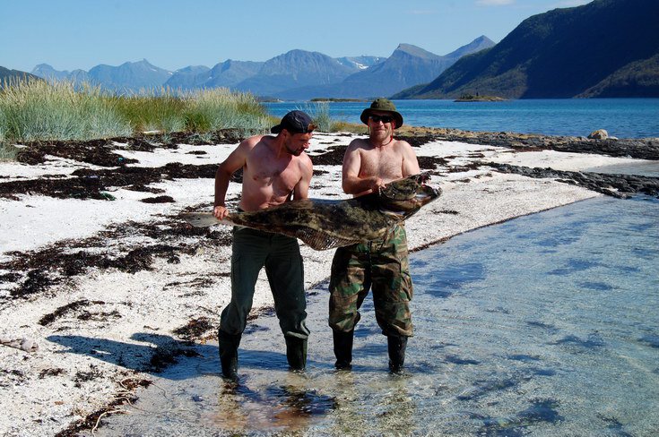 halibut 155 cm, kraj Nordland, 14. cervence