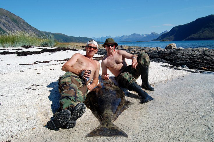 halibut 155 cm, kraj Nordland, 14. cervence