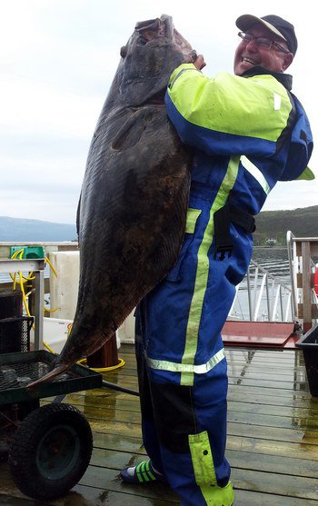 halibut 140 cm, 41,6 kg, uloven 4. srpna