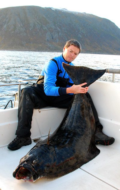 rijen na Loppe - halibut 157 cm uloveny na jig-gumu 15 cm na hloubce 40 m rijen na Loppe - halibut 157 cm uloveny na jig-gumu 15 cm na hloubce 40 m