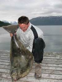 Troms - halibut