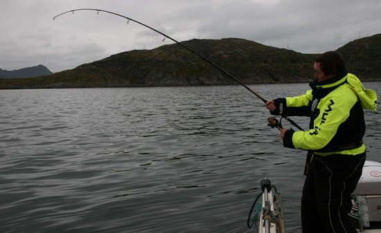 halibut 168 cm, 68 kg, zari