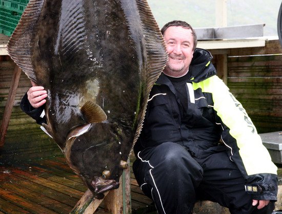 halibut 168 cm, 68 kg, zari