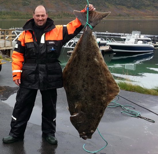 zari v Nusvag - halibut 163 cm, 56 kg zari v Nusvag - halibut 163 cm, 56 kg