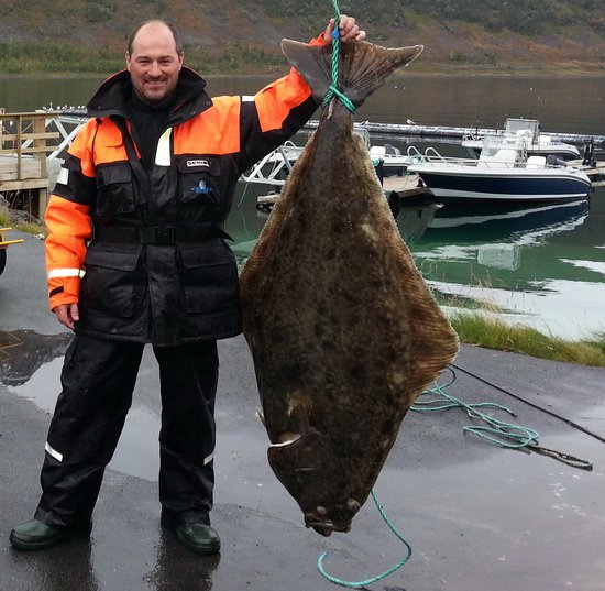 zari v Nusvag - halibut 163 cm, 56 kg