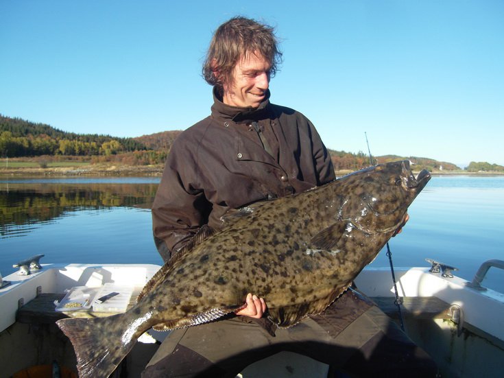 rijnovy halibut 117 cm od ostrova Hestoy-Blomsoy