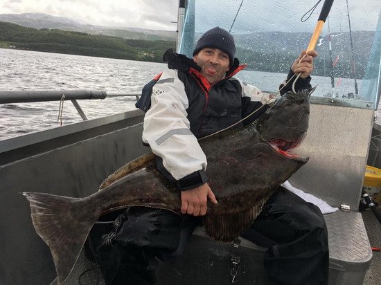 Helgeland - halibut, červen