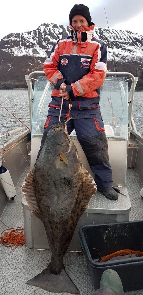 Elgsnes, halibut 140 cm a 43 kg