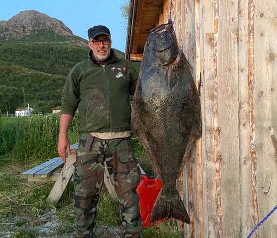 Letní halibut ze Straumfjordu