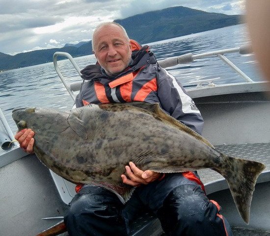 Elgsnes-Halibut Elgsnes-Halibut