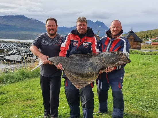 Larseng - halibut 167 cm Larseng - halibut 167 cm