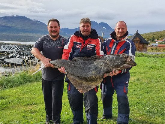 Larseng - halibut 167 cm