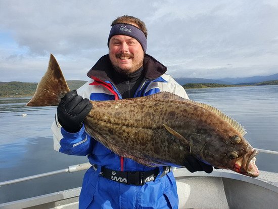 Larseng - halibut Larseng - halibut