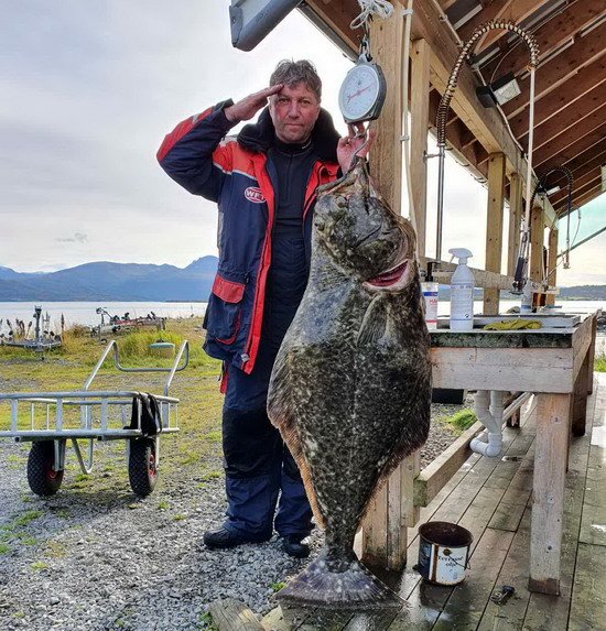Larseng - halibut 167 cm Larseng - halibut 167 cm