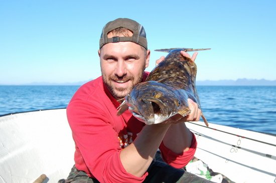 halibut halibut