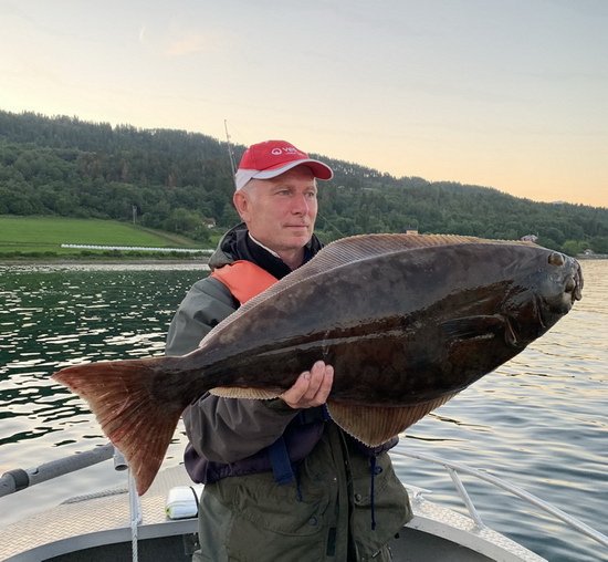 cervencovy halibut z Bremsnesfjordu