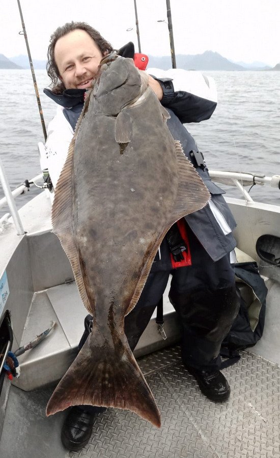 Halibut ze Senja Havfiskesenter