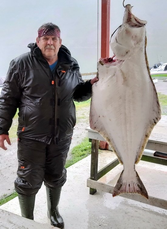 Halibut 150 cm (42 kg) ze Senja Havfiskesenter Halibut 150 cm (42 kg) ze Senja Havfiskesenter