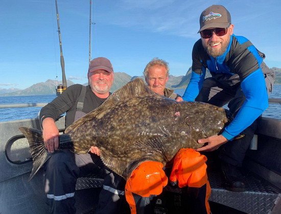 halibut 145 cm, 30 kg uloveny 29.7. u Torsken, Senja