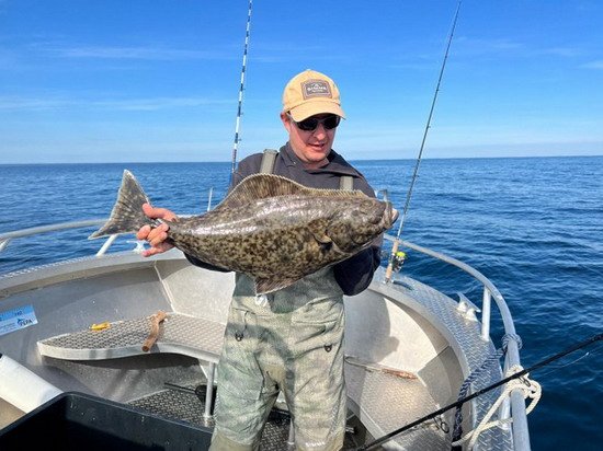 Halibut 70 cm (první a jediný) Halibut 70 cm (první a jediný)