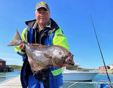 Halibut z okolí ostrova Vega