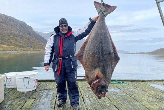 Buroysund - halibut úctihodných rozměrů