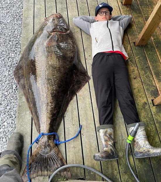Torsken - halibut 160 cm, 56 kg Torsken - halibut 160 cm, 56 kg
