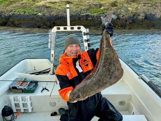 Brasoy, halibut 111 cm