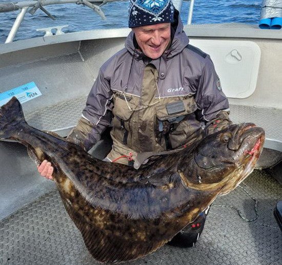 Lokta - halibut 154 cm Lokta - halibut 154 cm